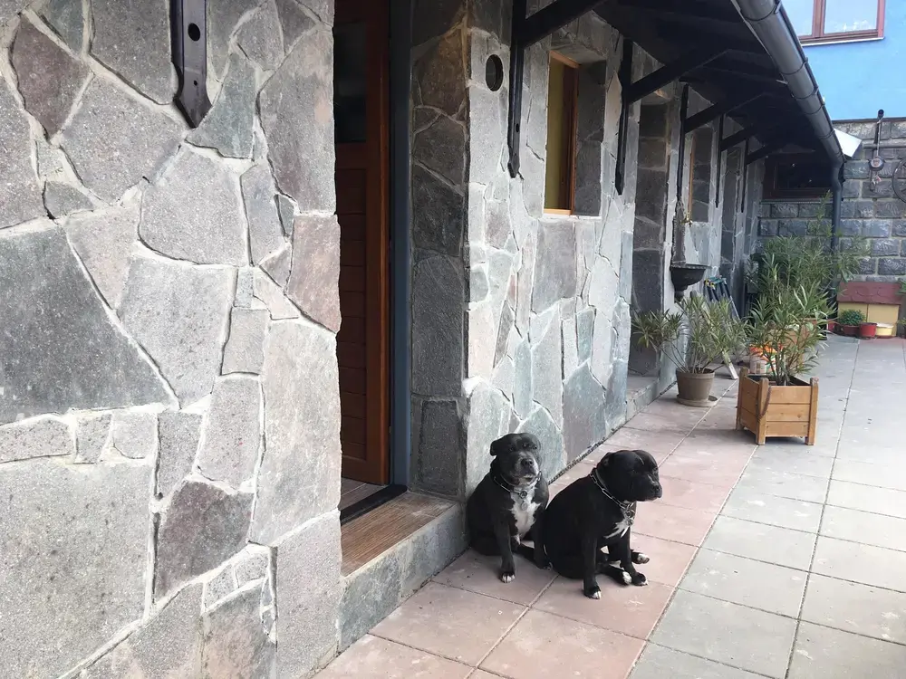 Přírodní štípaný porfyr Grigio Rosa , nepravidelné tvary tl. 10-30 mm